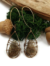 Michigan petoskey stone coral earrings, fossilized coral earrings
